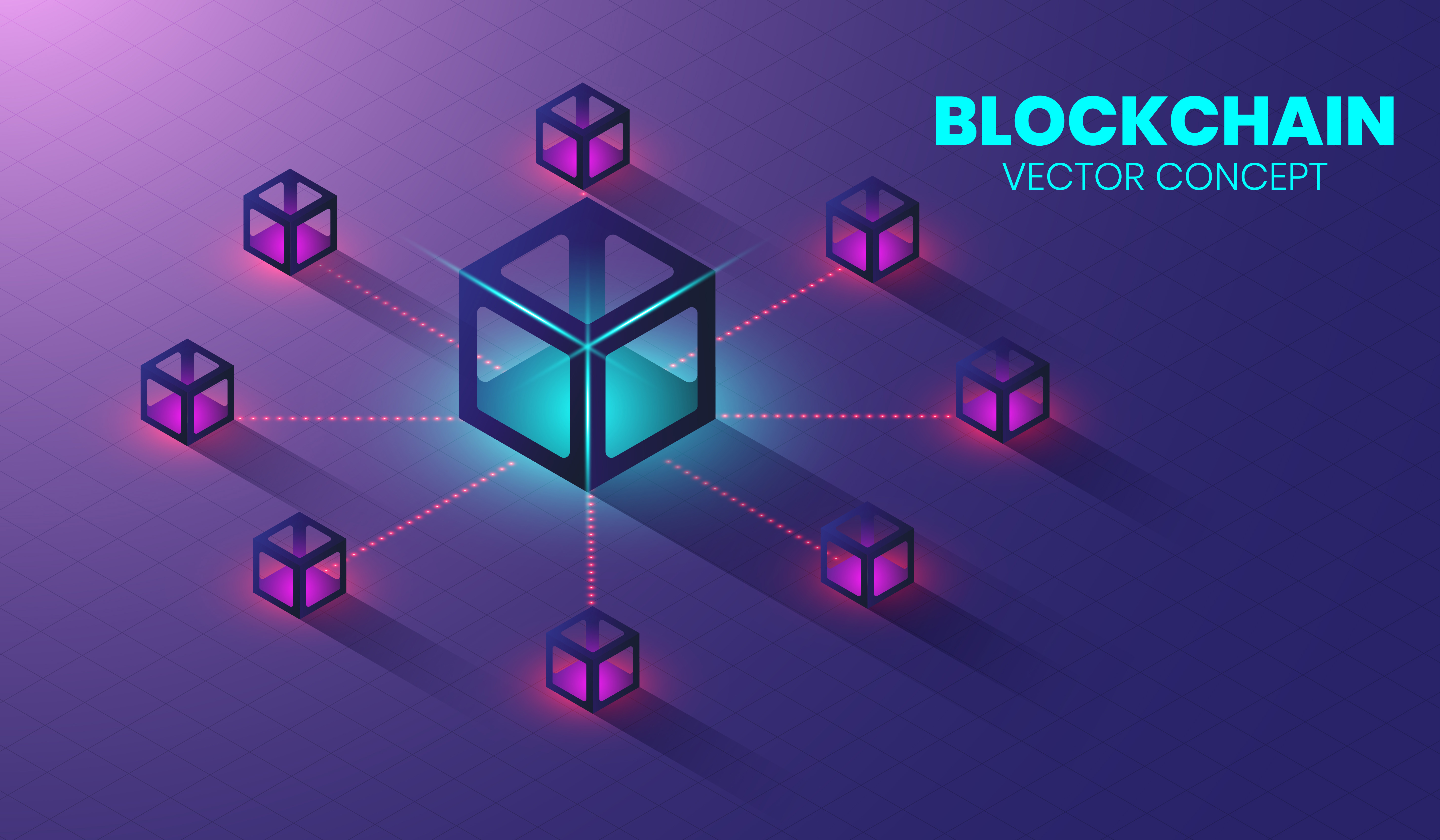 Blockchain Generator Developer Portfolio
